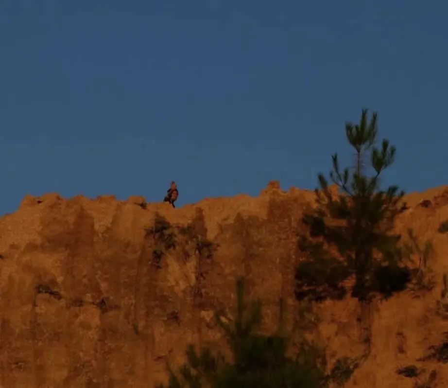 9月，谢谢你们送来的秋天