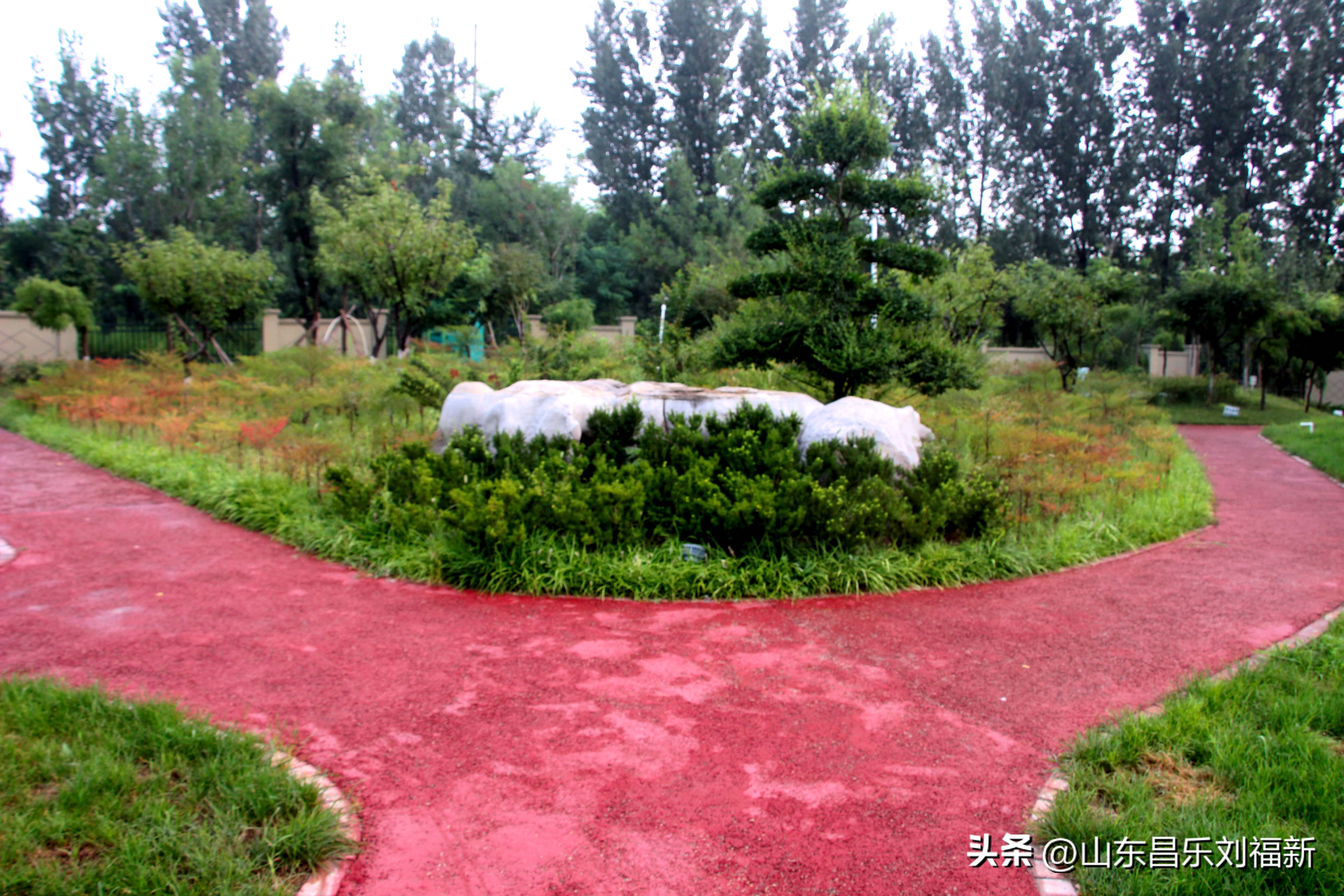 2023年8月20日有雨吗,2021年8月19日有没有下雨