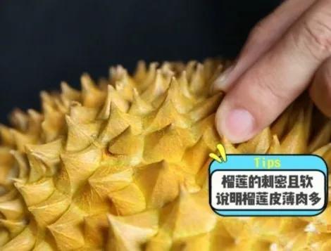 榴莲怎么挑牢记这几点,榴莲知识新手必看