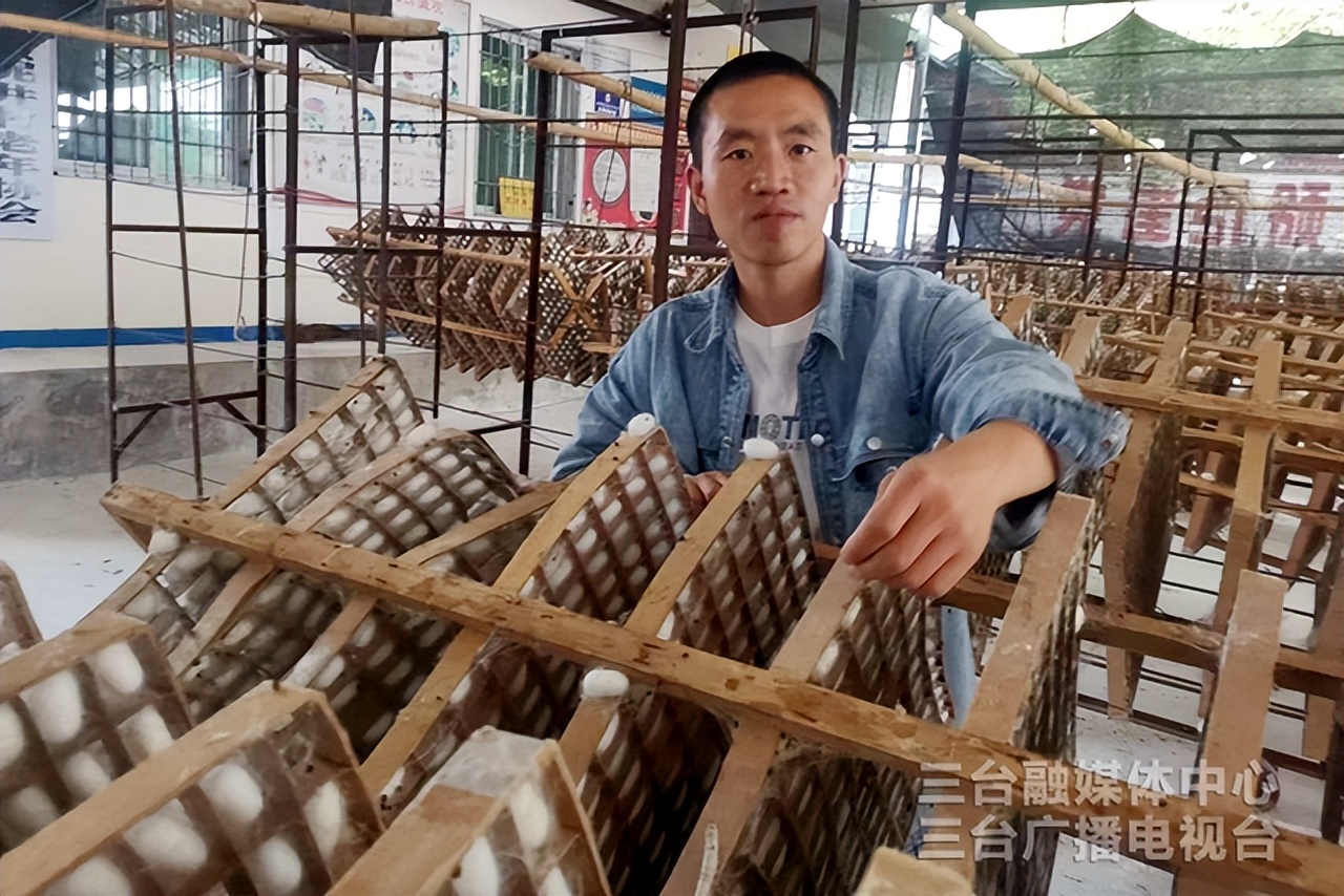 小小“银茧”拓宽农民致富道路