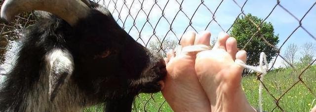 温柔但残酷的刑罚,温柔的酷刑