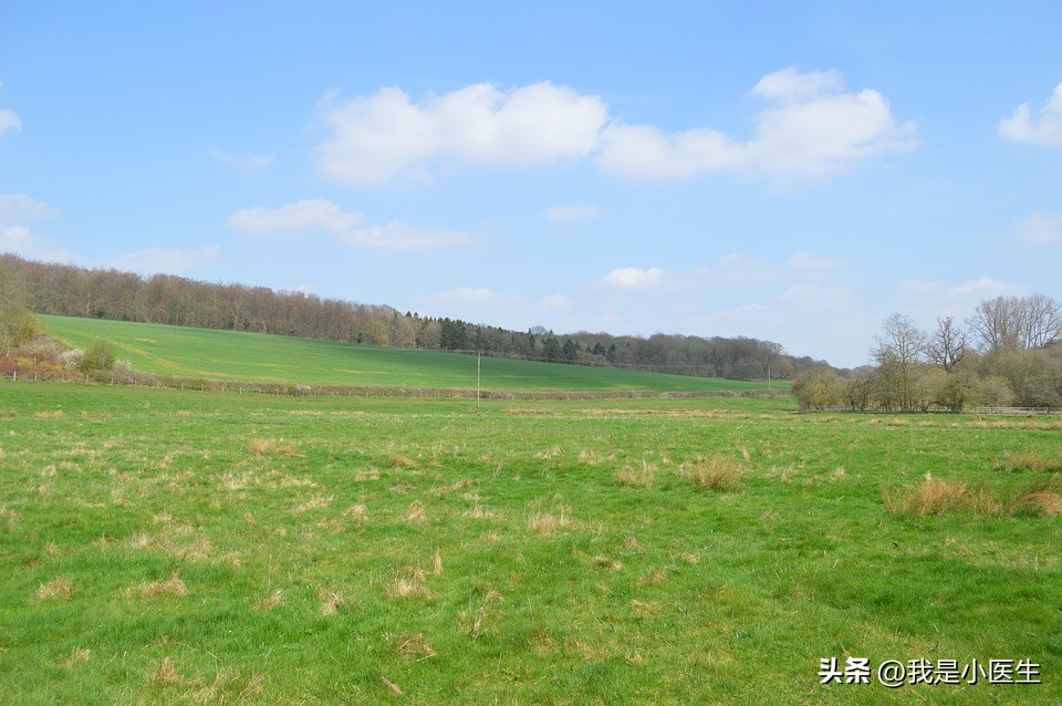 15秒带你了解乙肝病毒,乙肝权威知识