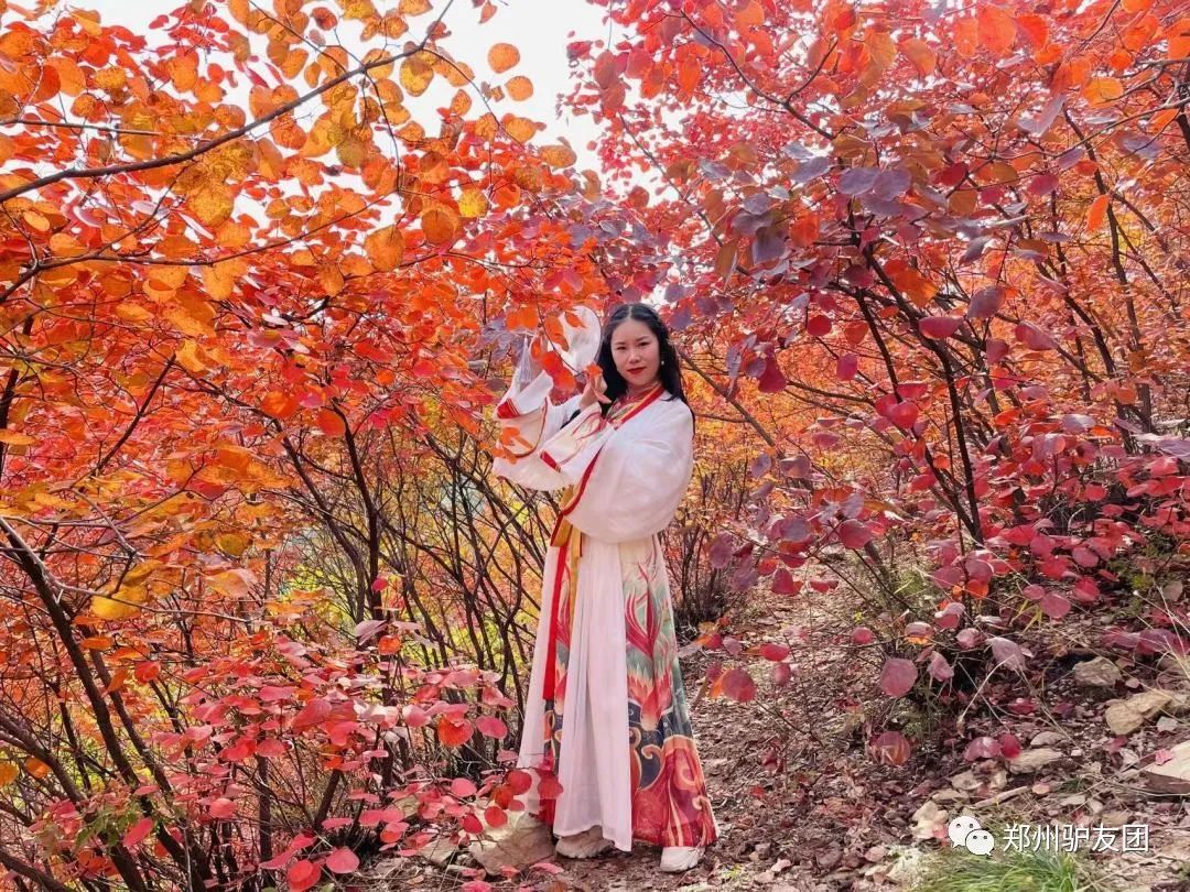 郑州最近赏红叶最佳的地方,靳家岭红叶和长寿山红叶哪个好看