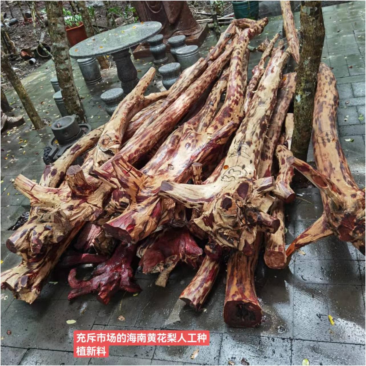 海南黄花梨老料油梨鉴别,海南黄花梨油梨老料鉴别