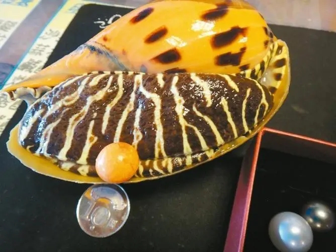 山东一女子吃出龙珠,安徽女子吃椰子螺吃出龙珠