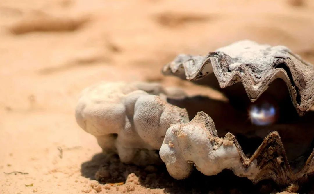 深扒卡塔尔王妃的珠宝盒，竟然发现了温莎公爵夫人的拍卖真品