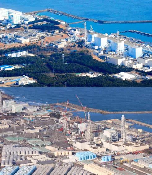 日本核辐射大米生产,核辐射大米制成包装盒