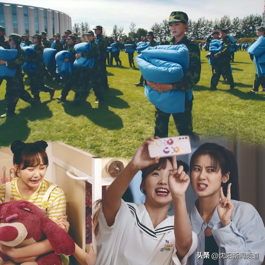 沈阳的新鲜事,沈阳的故事视频