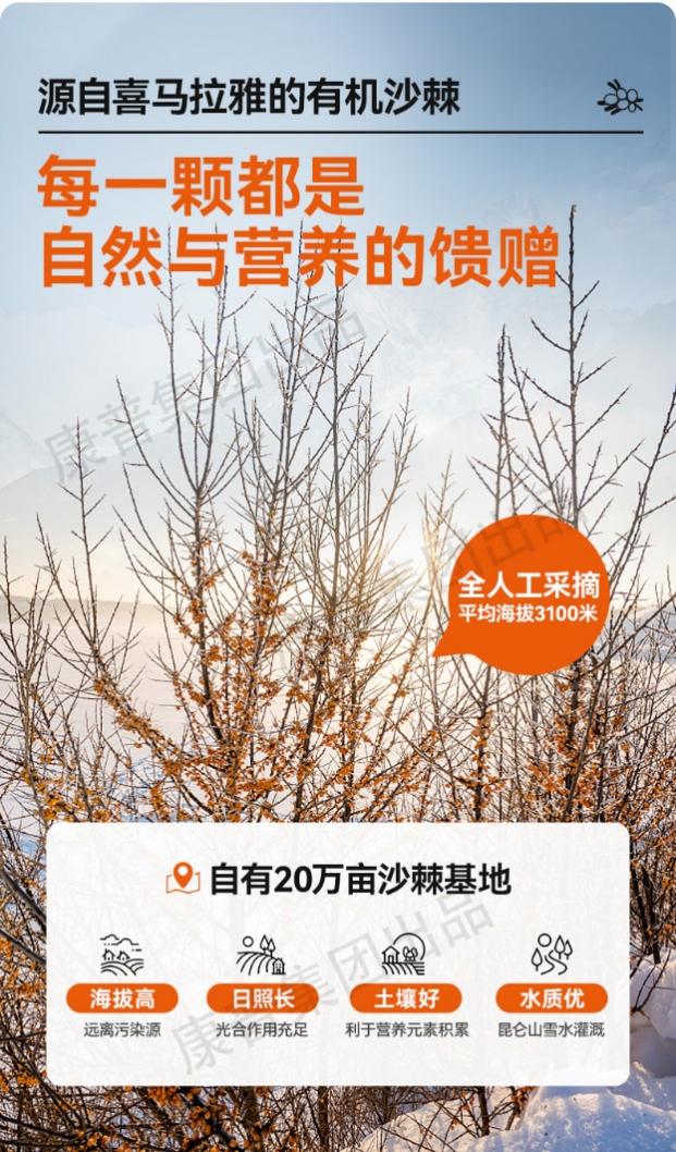 过年年货礼盒大礼包送长辈朋友,春节送礼年货礼盒送长辈