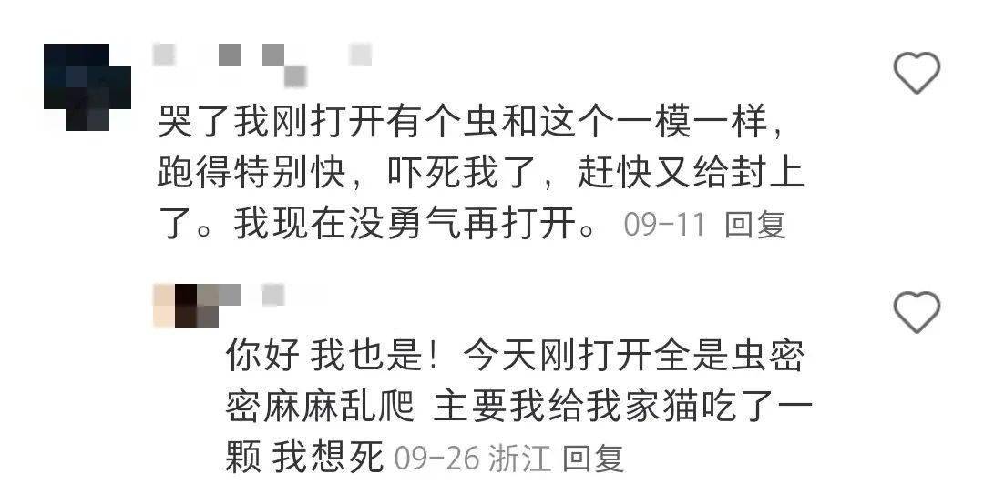 妹子凌晨1点喂猫倒出一堆蟑螂，发出尖锐爆鸣声，猫：妈又买高蛋