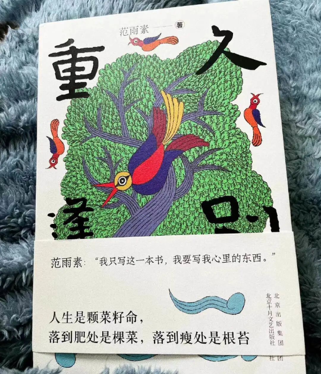 在腰封上“捡漏”金句,哪句让你想翻开它?