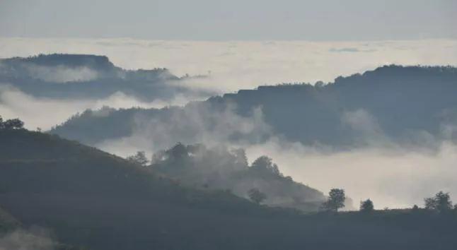 我，陕西延安市乡镇司法所公务员，告诉你我一年收入有多少。