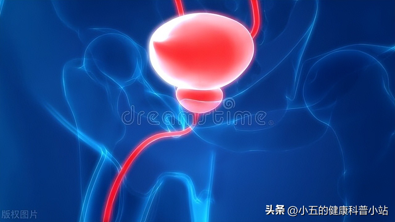 清热利湿通淋前列腺药有哪些,治前列腺炎清热利湿的中草药