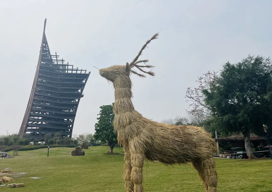 郁金香主题公园稻草人,2022年郁金香花海贵州