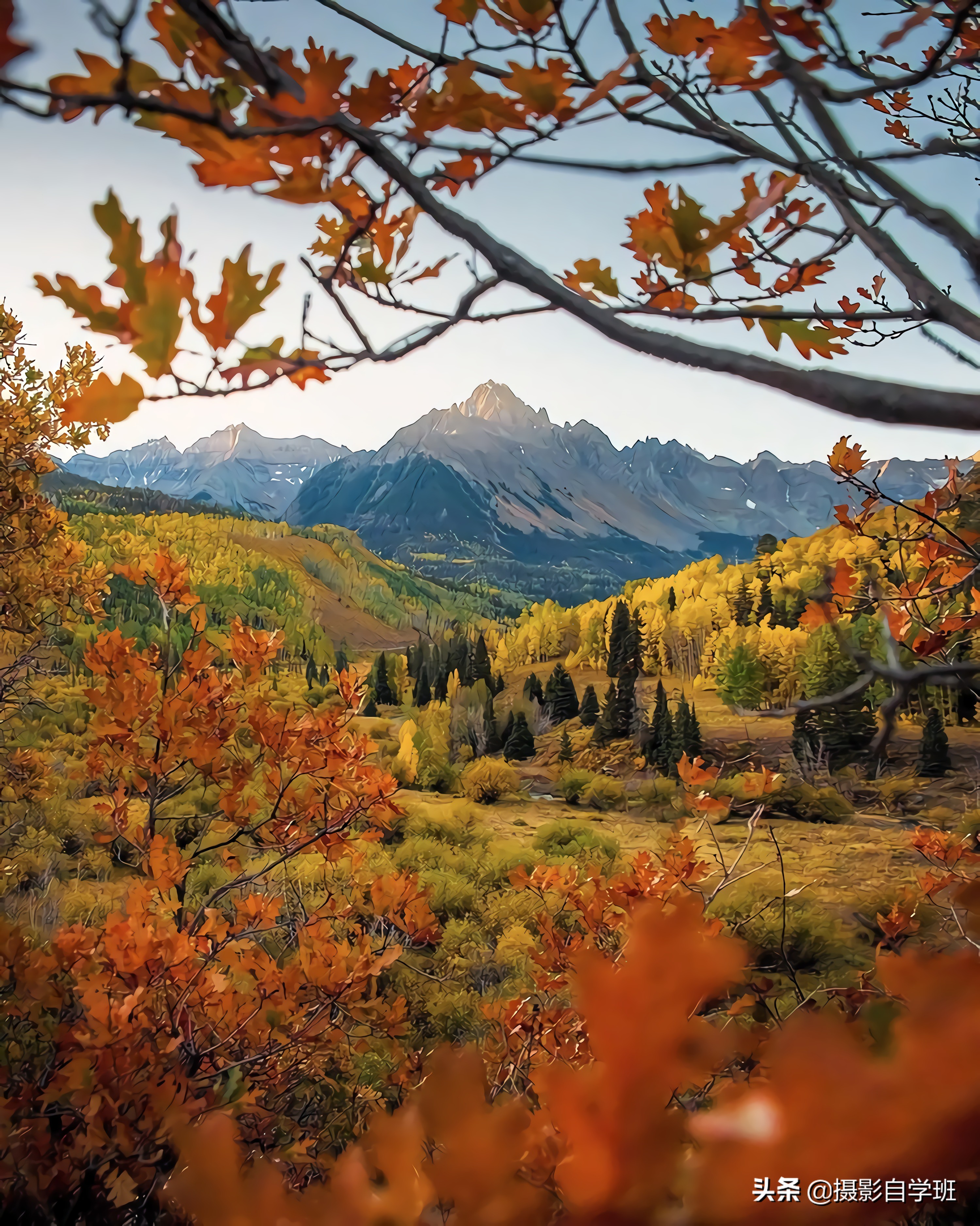 普通人学摄影的真实感受,普通人学摄影一个月