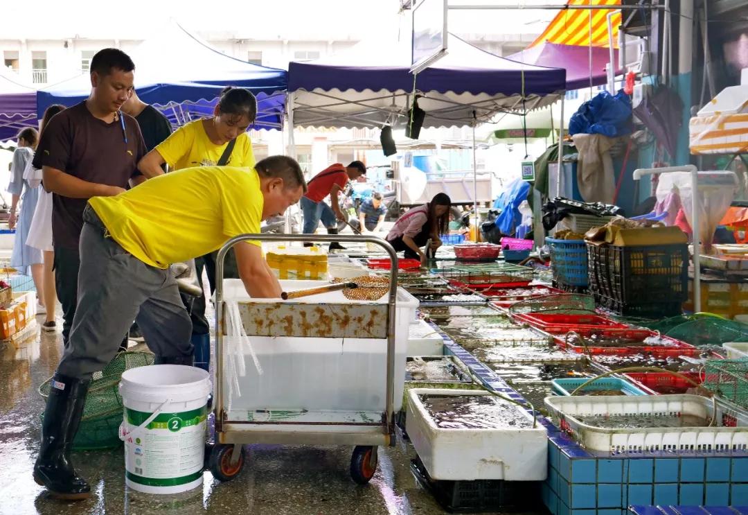 只知道来这儿买房，明明温泉这么好泡、海鲜这么好吃