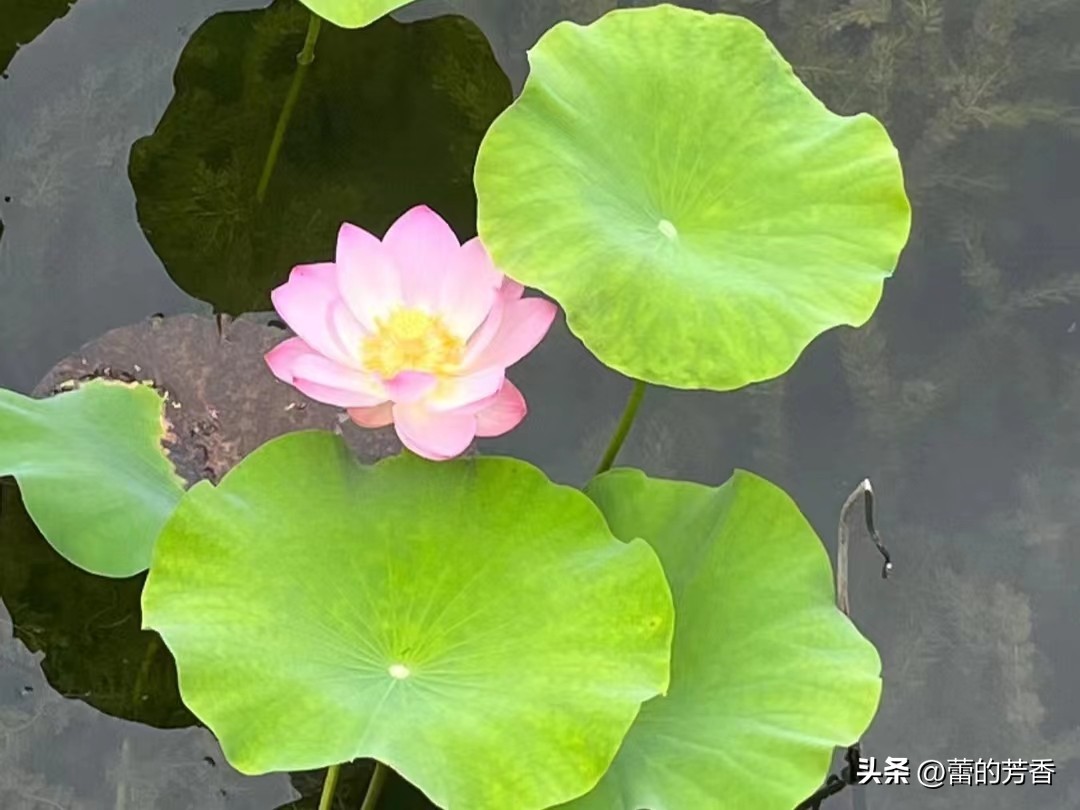 每个人都是此生独一无二的风景,每个人都是这世上独一无二的风景