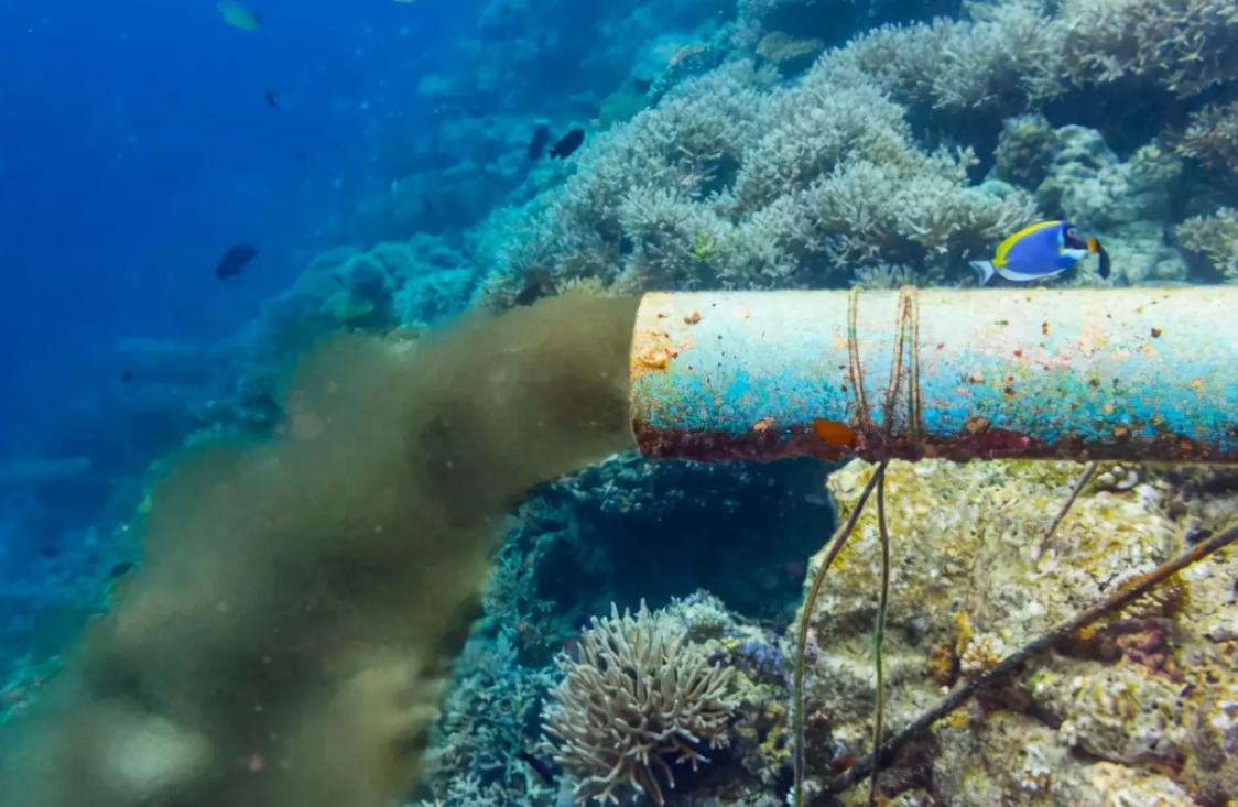 美国在日本排放核废水有什么说法,超强台风南玛都登陆日本