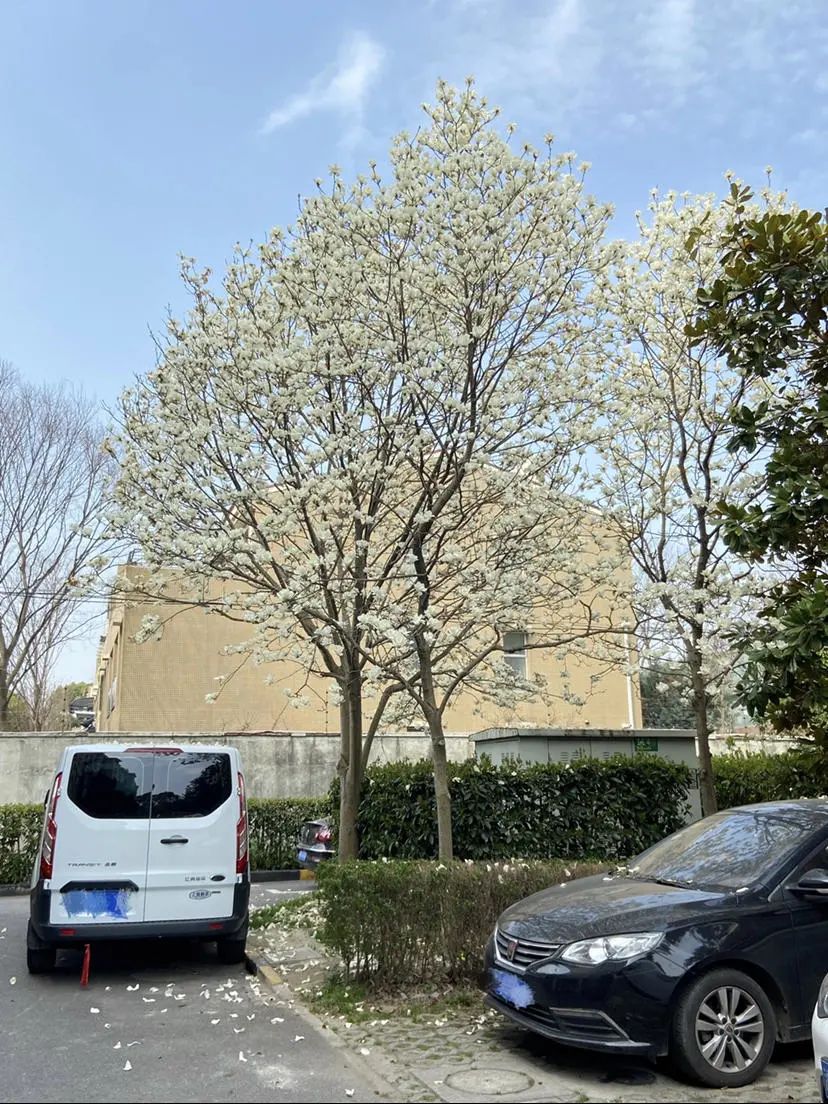 错过了一个秋天,错过了一个春秋