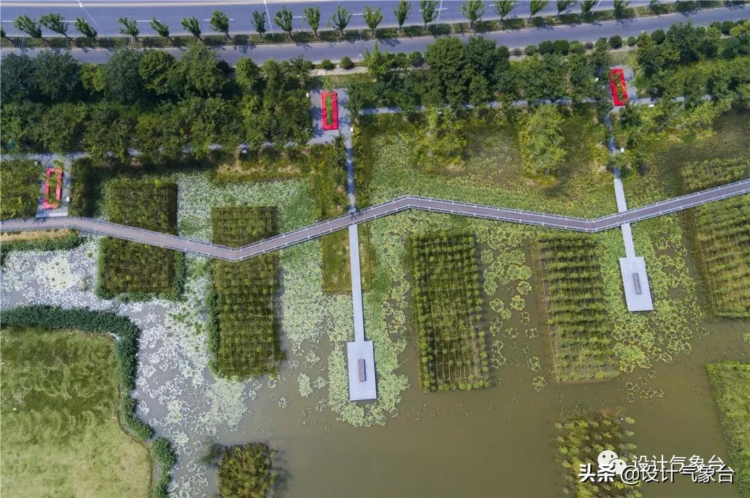 俞孔坚的设计作品,俞孔坚景观设计学