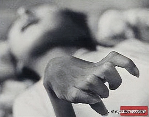 你看过海豚跃起的瞬间吗,你见过海豚湾吗