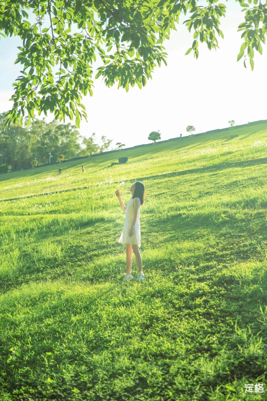 深圳小众打卡景点龙岗,2022深圳10个小众打卡地免费游玩