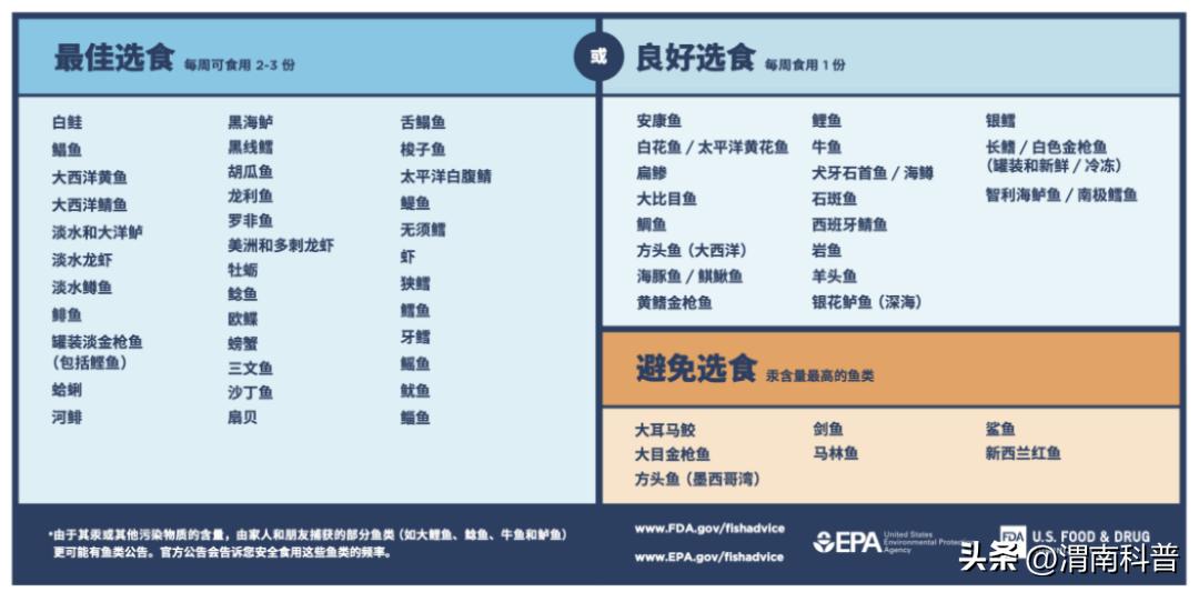 夏天鱼吃什么最香,这些鱼吃起来很鲜嫩