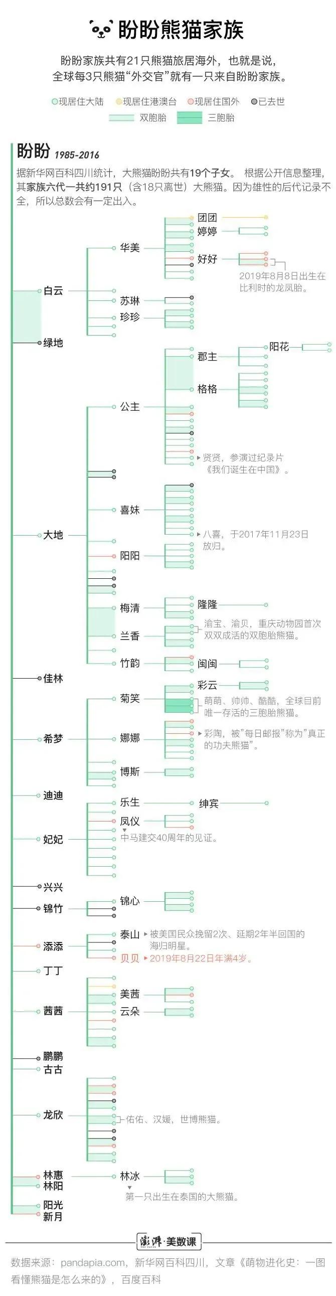 熊猫界几大家族,熊猫的种类有多少种