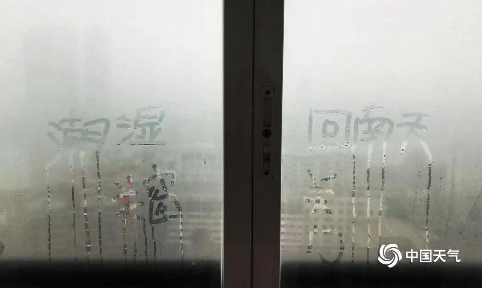 真香警告下一句是什么,真香警告好不好