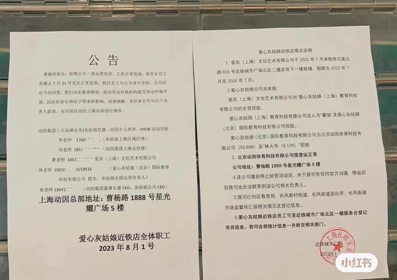 芭蕾培训行业的现状及前景,艺术培训机构为何不赚钱