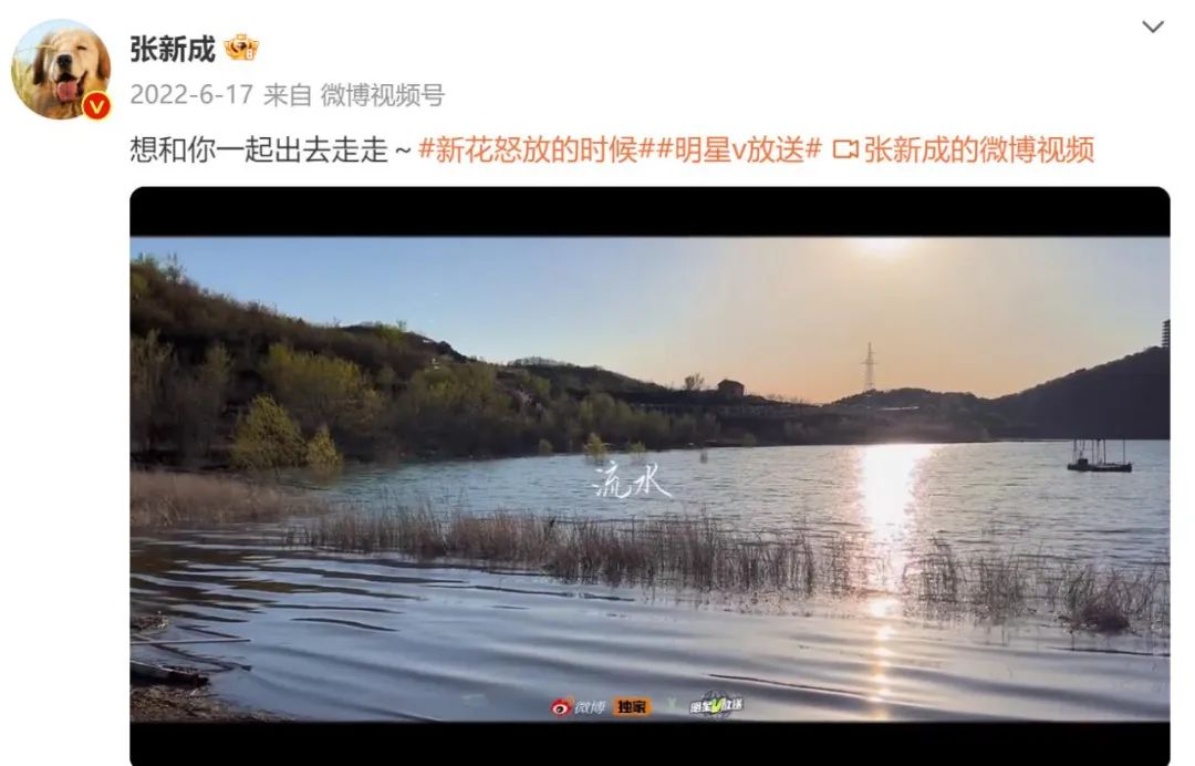 张新成李兰迪泰国正面照,李兰迪张新成泰国同游