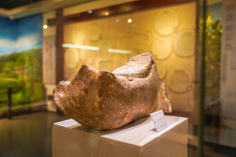 宿州景点哪里好玩一日游,宿州小众打卡