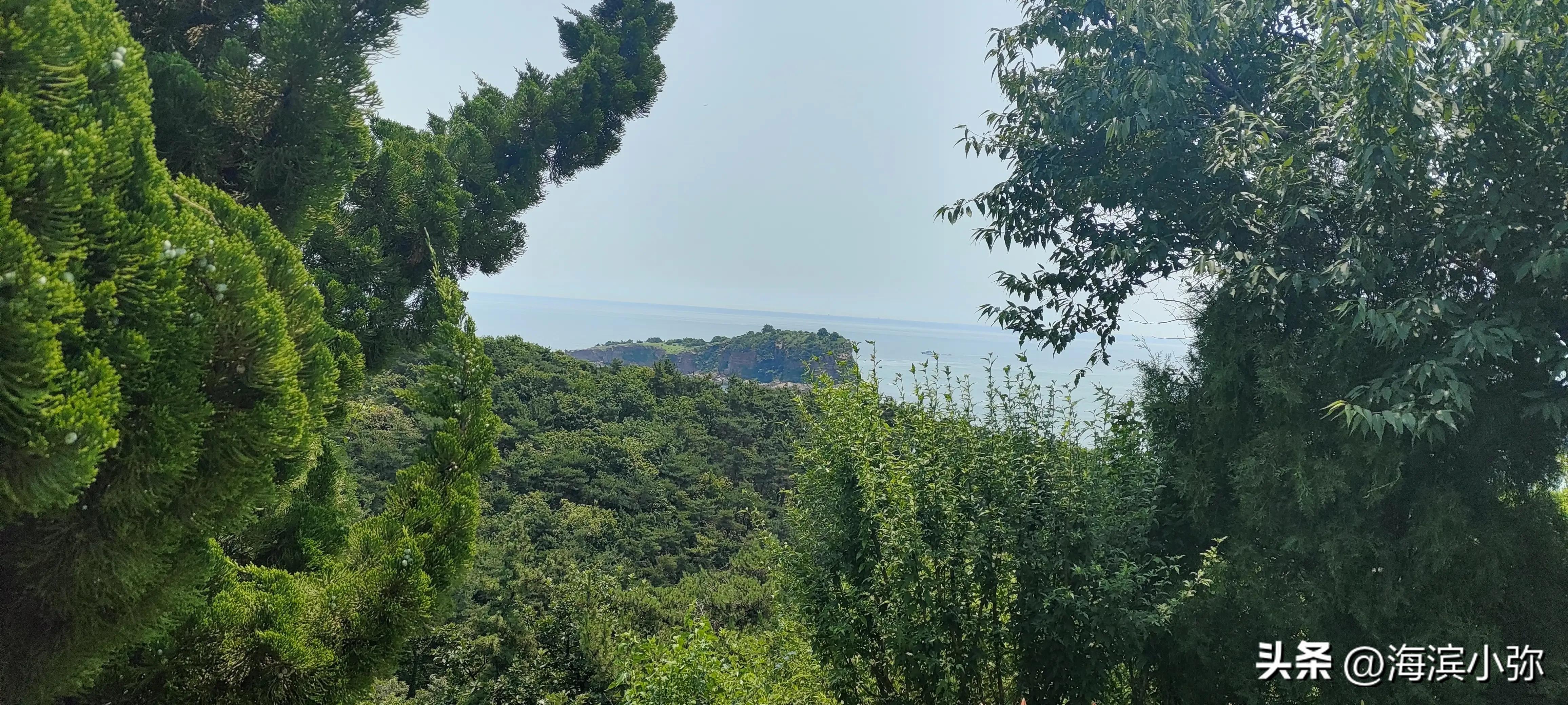 亲身徒步探访东海公园滨海路全纪录（二）