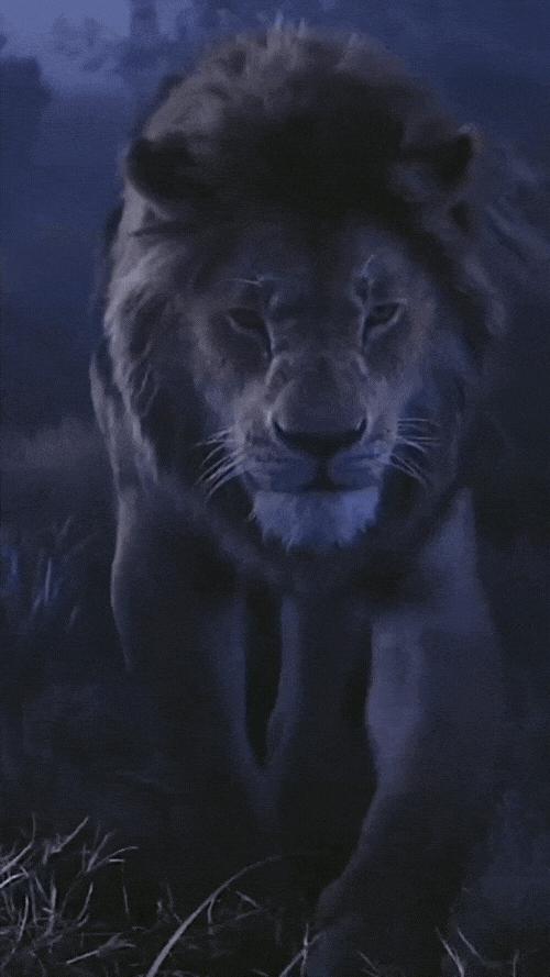 卡塔尔世界杯分组名单英文,卡塔尔世界杯英文版赛程表