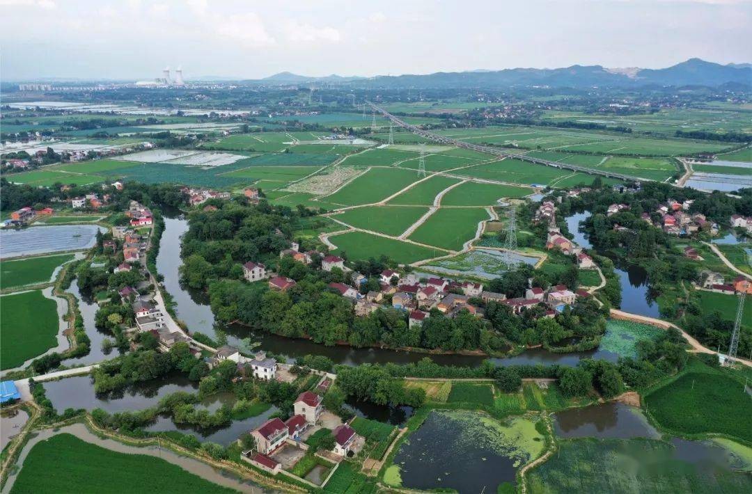 2010年河北行唐，儿子患病身长“巨型黑痣”，母亲为救子割皮移植