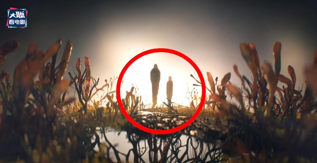 最后生还者第1集解说,最后生还者第1集