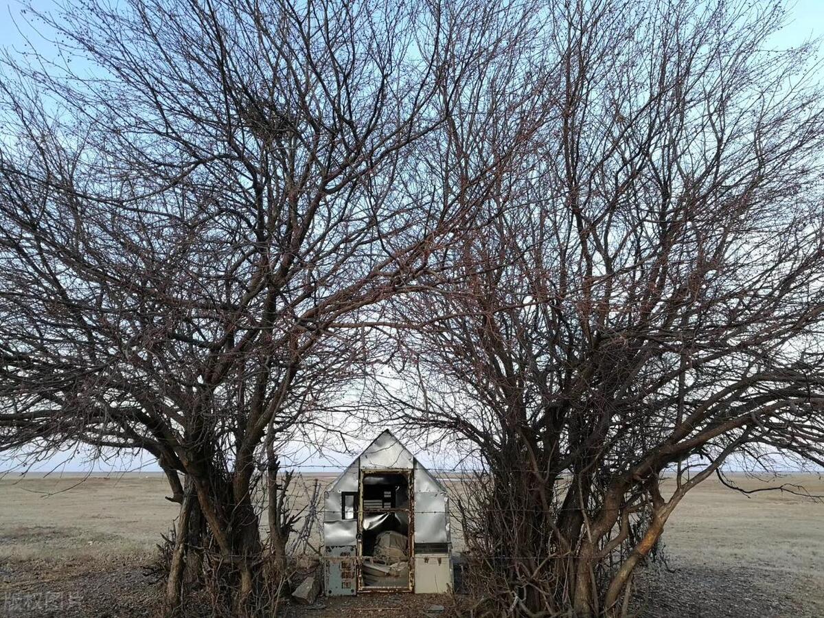 人一旦失去灵魂就只剩下躯壳了,人一旦失去意识能恢复吗