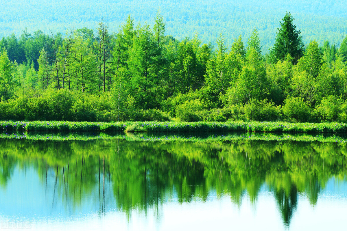 考察表工作经历没交保险怎么填,考察材料个人主要表现怎么写