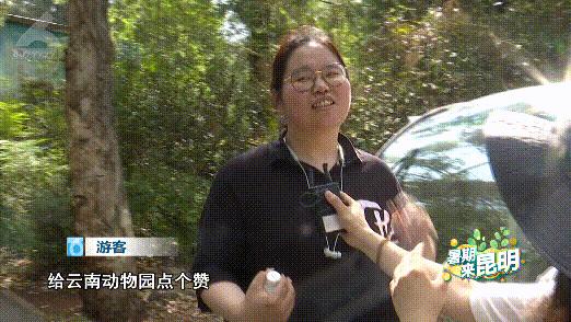 昆明动物世界野生动物园,昆明大自然野生动物园