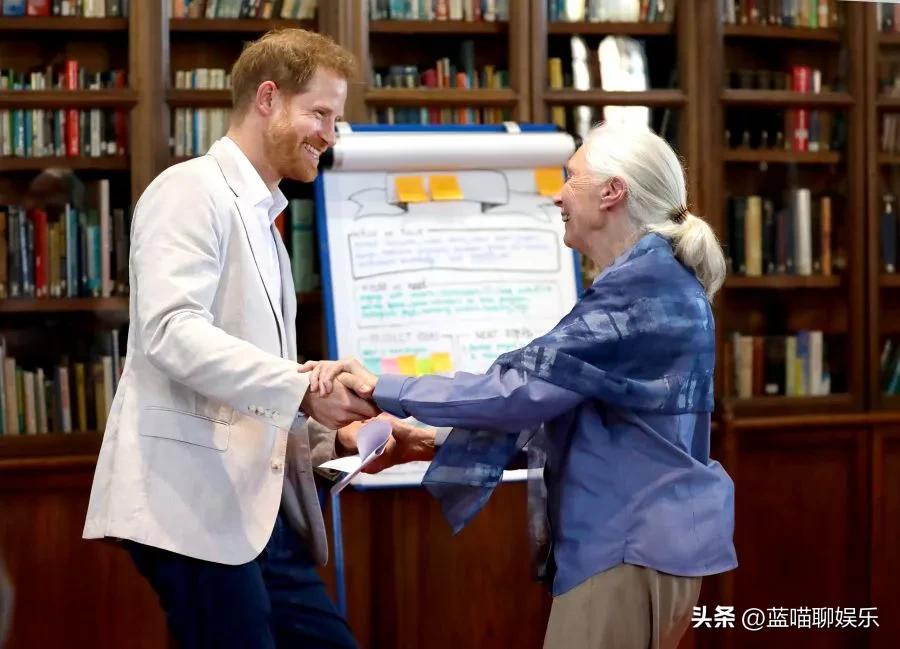 哈里王子和威廉王子回忆,哈里王子梅根感人视频