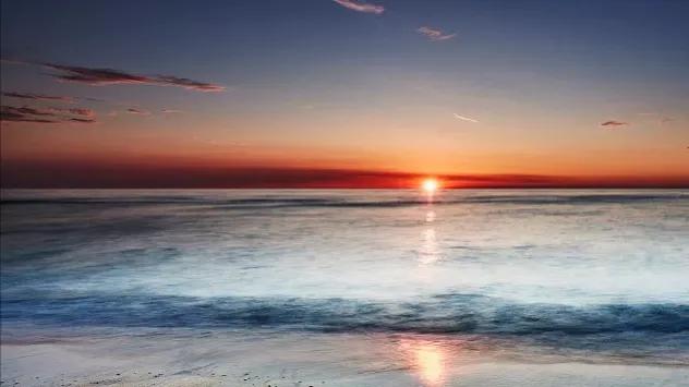 一笑拈花情思乱红尘半世离人怨