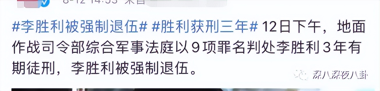 九项罪名只判一年半，“堂堂正正李胜利”就是个笑话