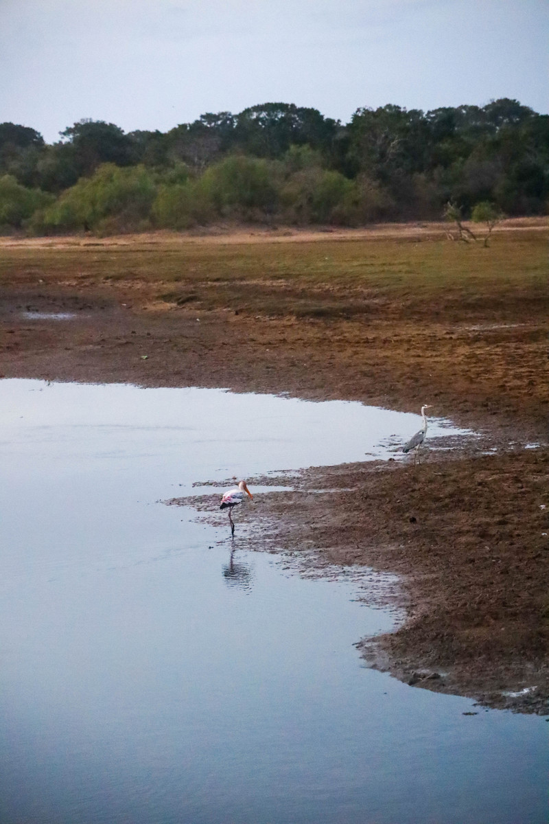 斯里兰卡旅游攻略必去景点,斯里兰卡最佳旅游攻略