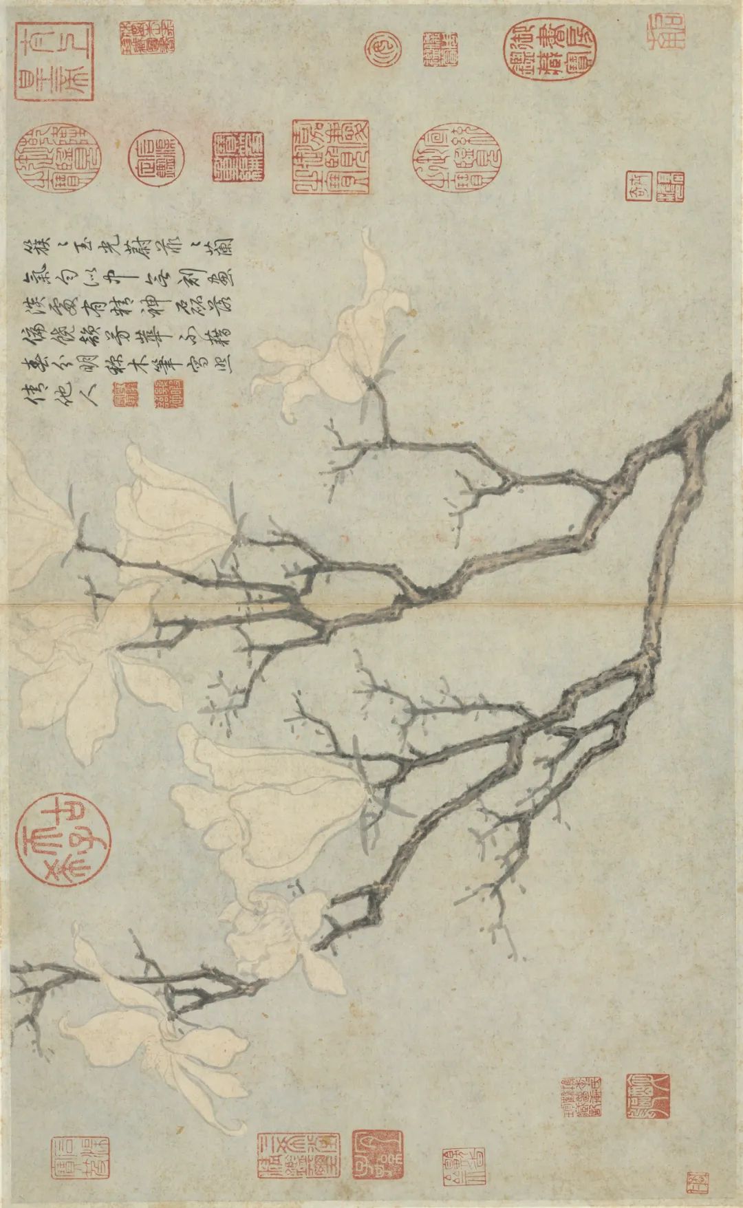 慕容看世界的视频,慕容看世界所有视频