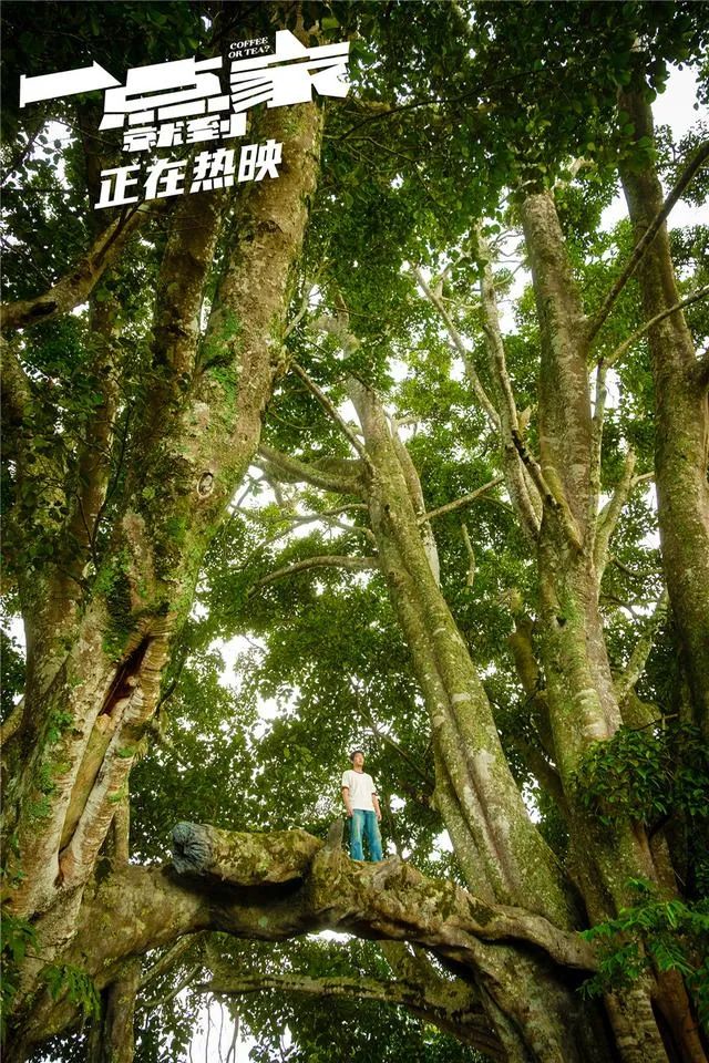 云南旅居最理想的避寒地方,云南适合旅居的小众古镇