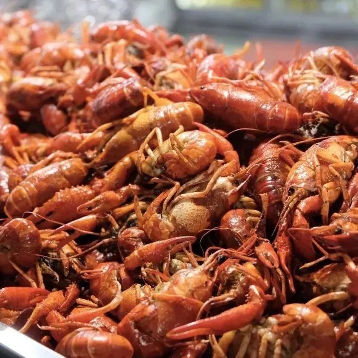 呼叫“特种兵”!目的地:江苏常州