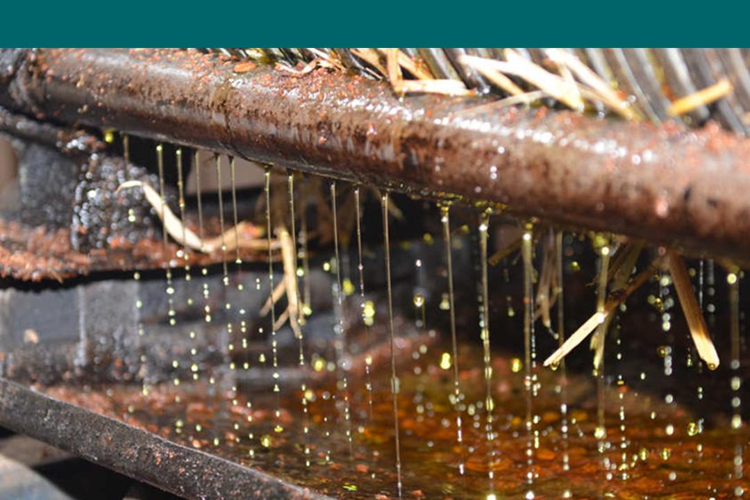 食用油选购视频,家庭选购食用油