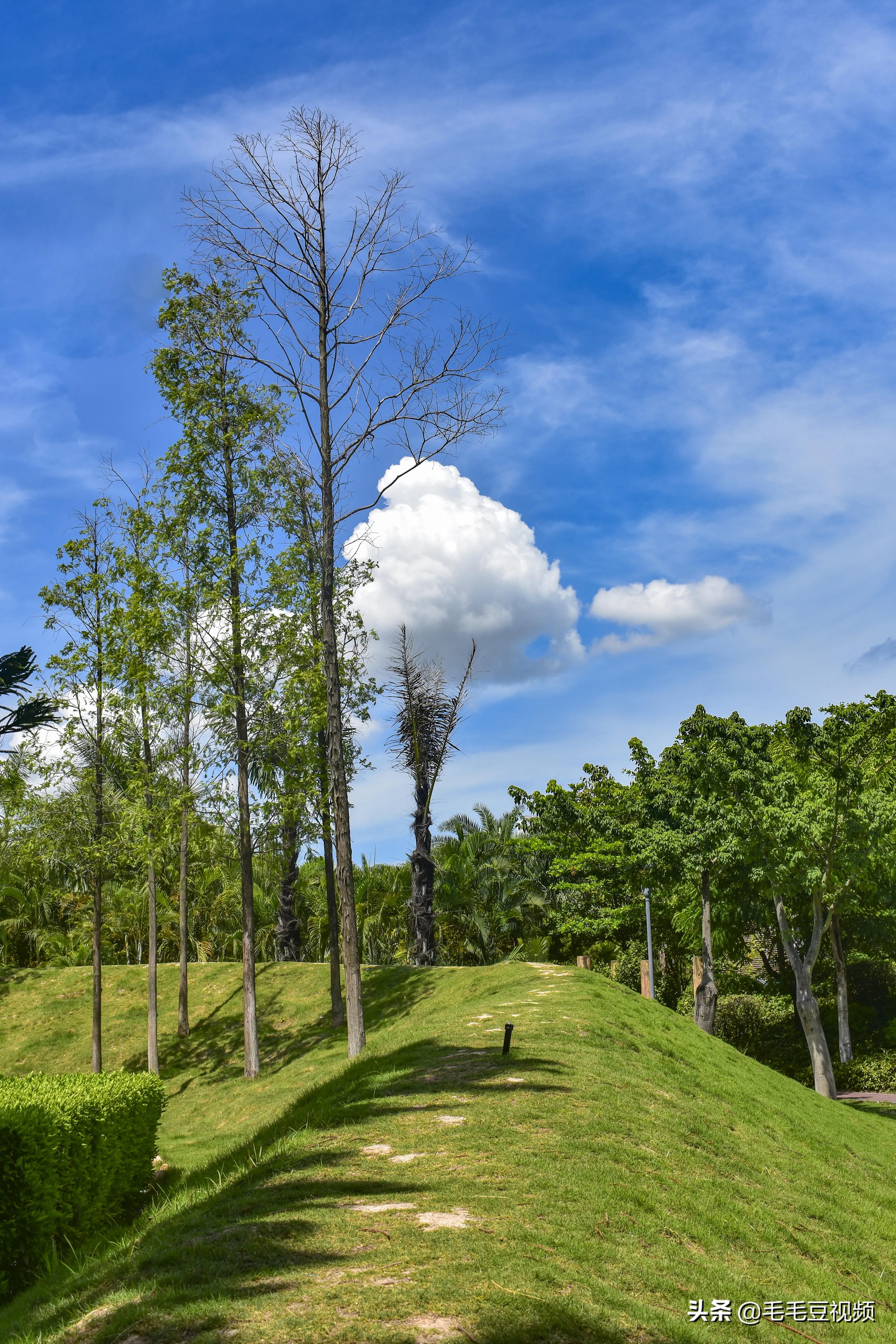 厦门适合初次约会的景点,厦门约会免费景点攻略图