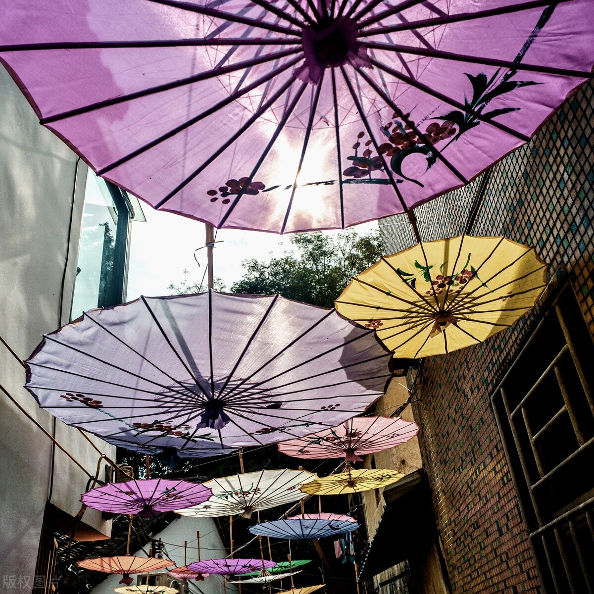 深圳休闲好玩的景点,深圳周末游玩好去处免费