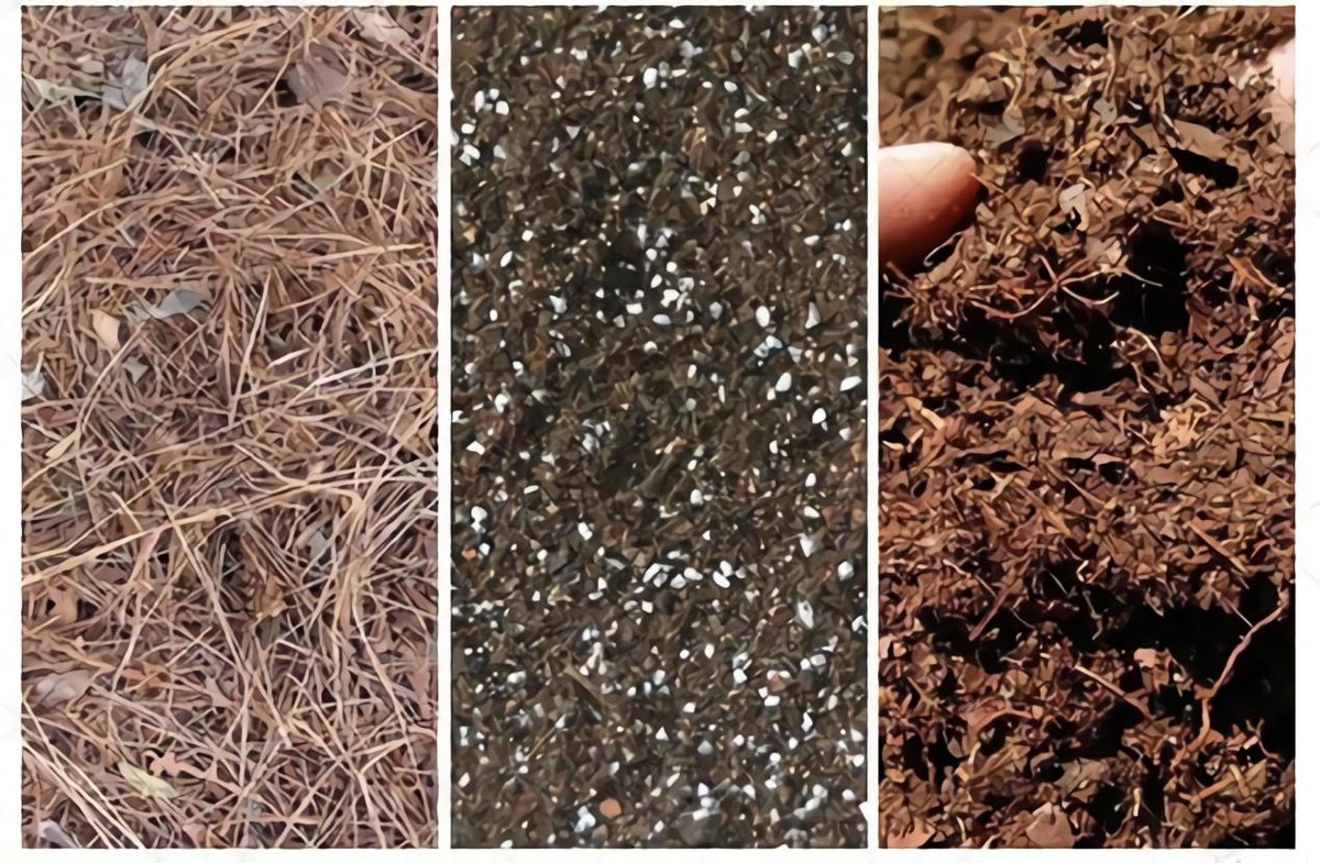 黑土为什么被称为土地中的大熊猫,野生大熊猫值钱吗